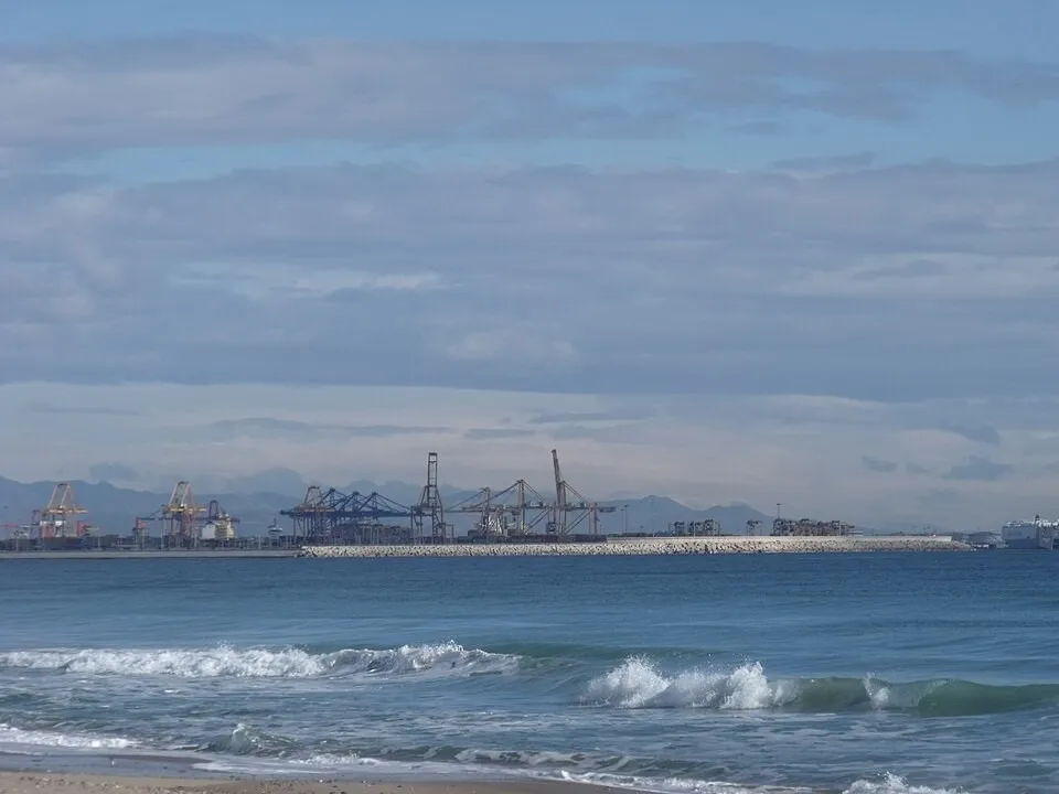 El Saler Beach, Valencia - pine forest meets sand dune