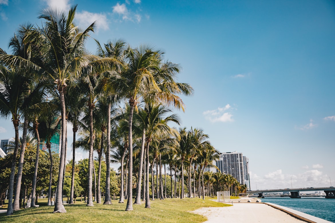 Miami on Another Frequency: The Sophisticated Traveler's Guide to the City Beyond the Obvious