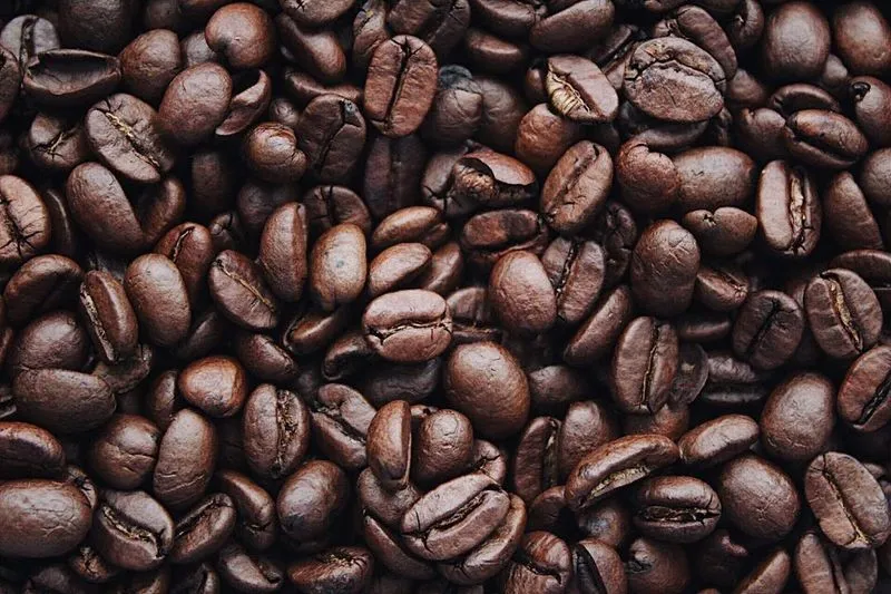 Coffee plantation in the Costa Rican highlands - altitude is flavour