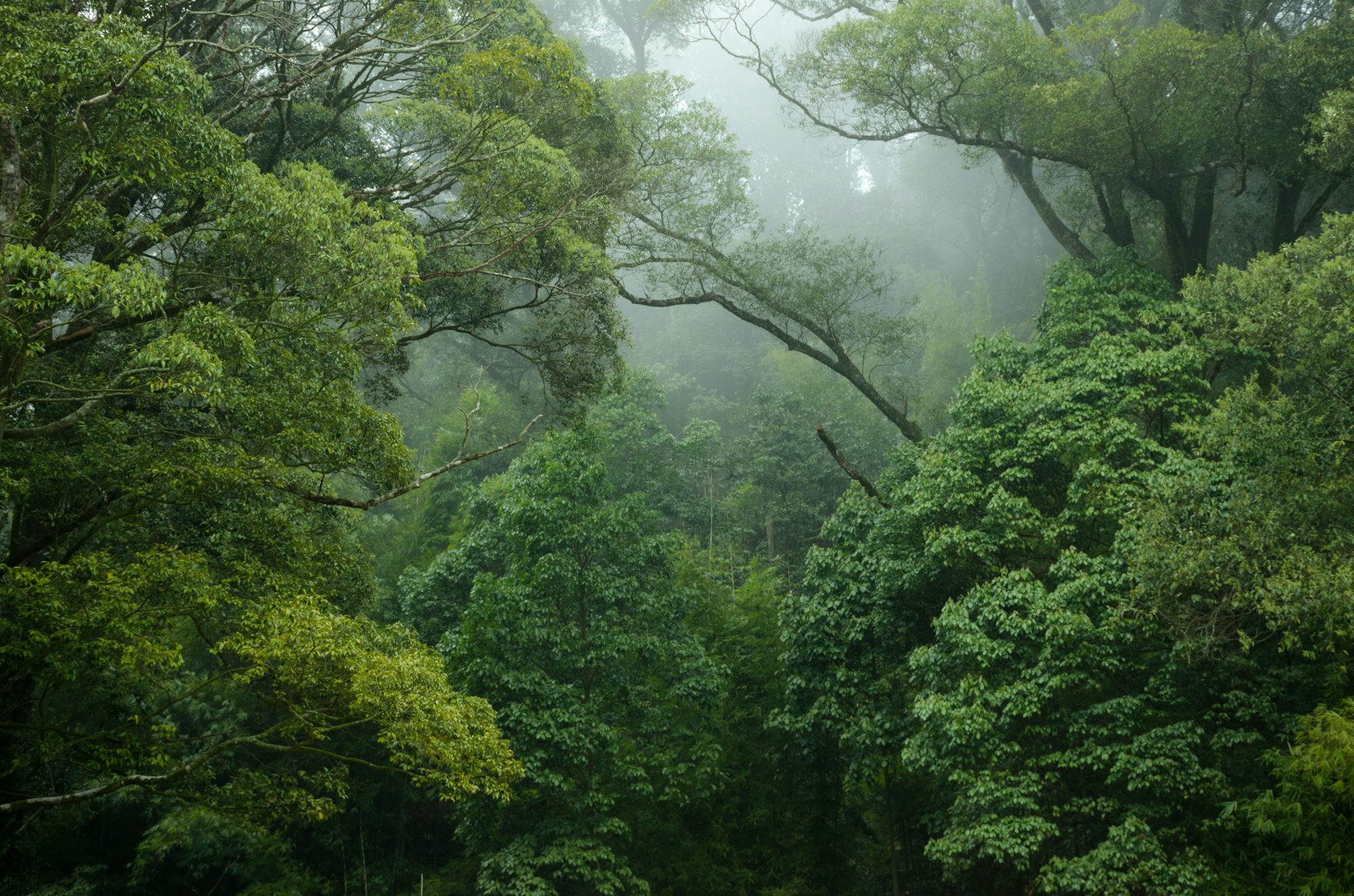 Costa Rica Travel Guide - Volcanoes, Cloud Forests and Paradise Beaches