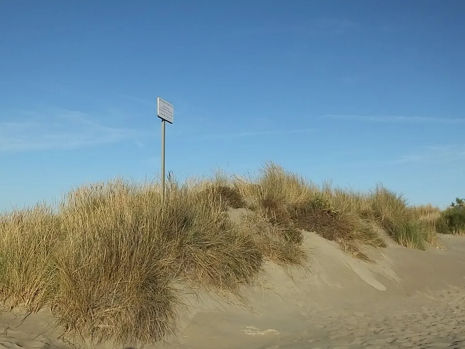 Espiguette Beach — 18 kilometers of wild dunes in the Camargue