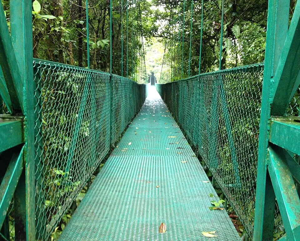 Monteverde suspension bridge - walking above the cloud forest canopy