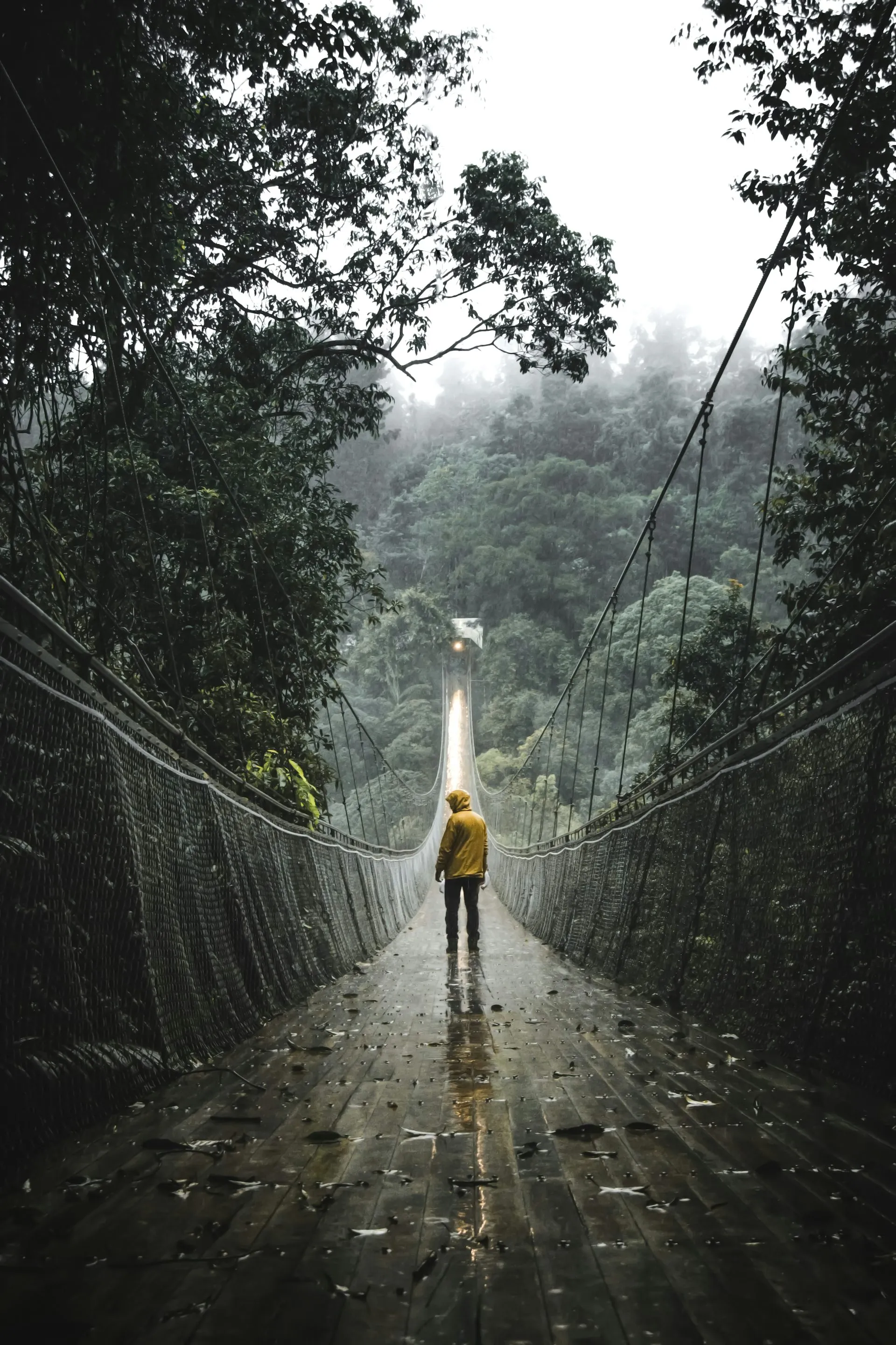 Monteverde suspension bridge - walking above the cloud forest canopy