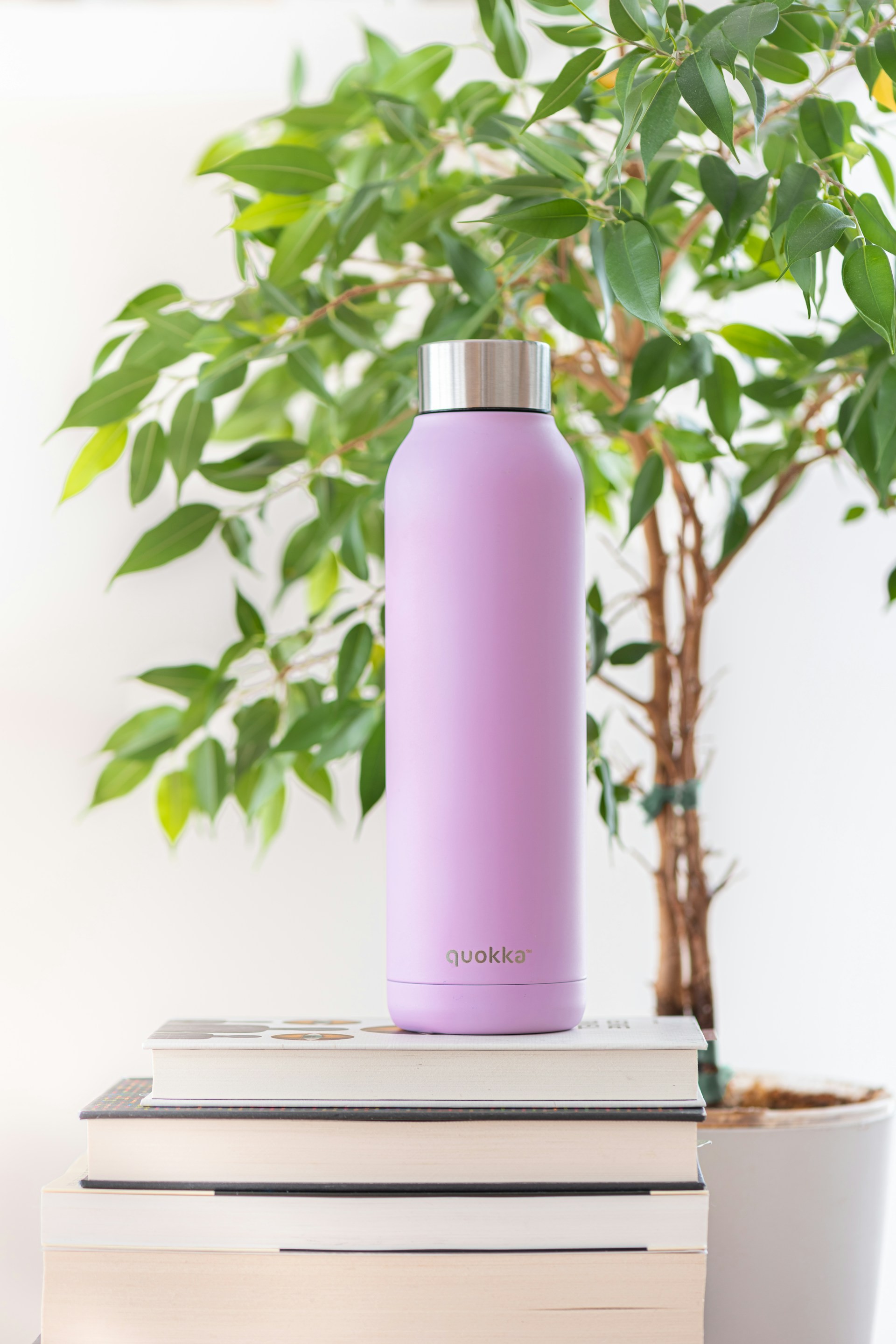 The Quiet Revolution of the Reusable Water Bottle: How Owala FreeSip Reframed an Everyday Object