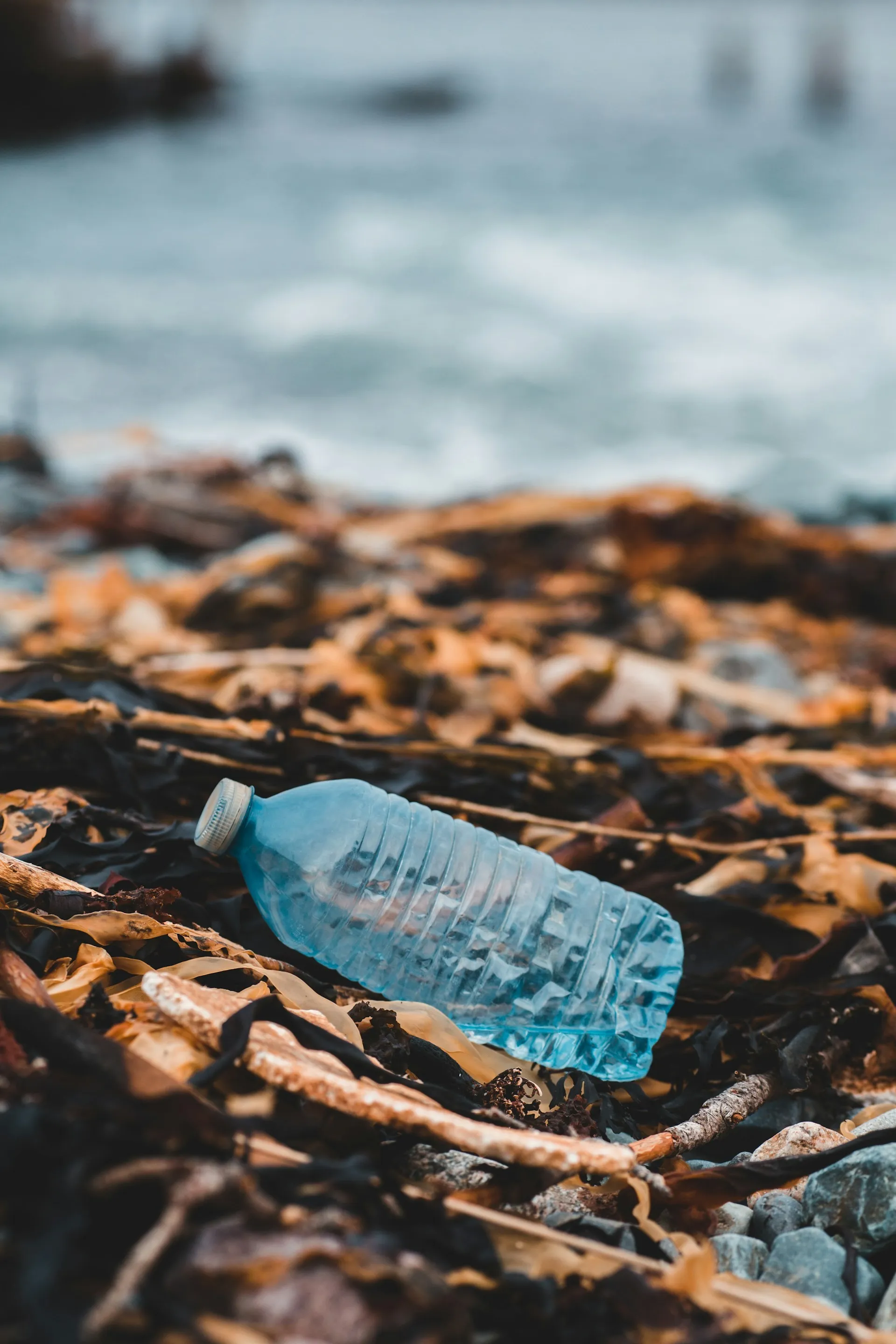 Sustainable reusable bottle as part of an everyday lifestyle