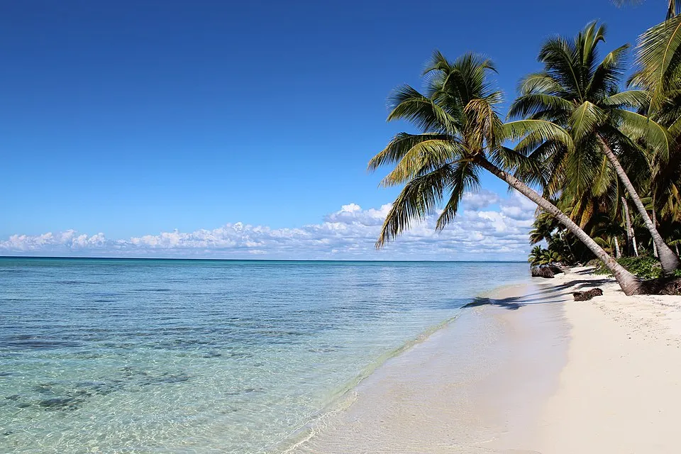Saona Island paradise
