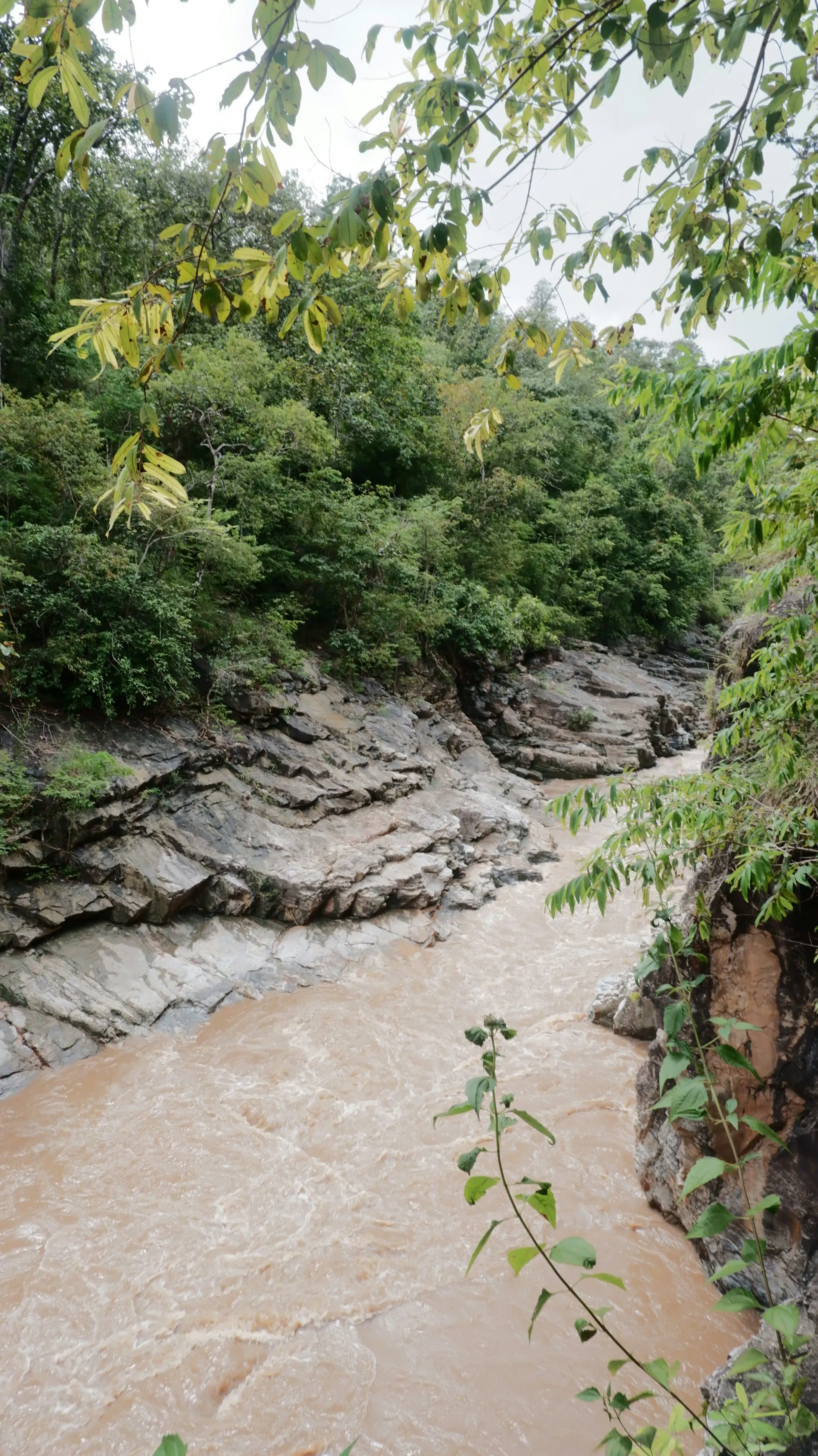 Sarapiqui river canyon - where jungle meets adventure