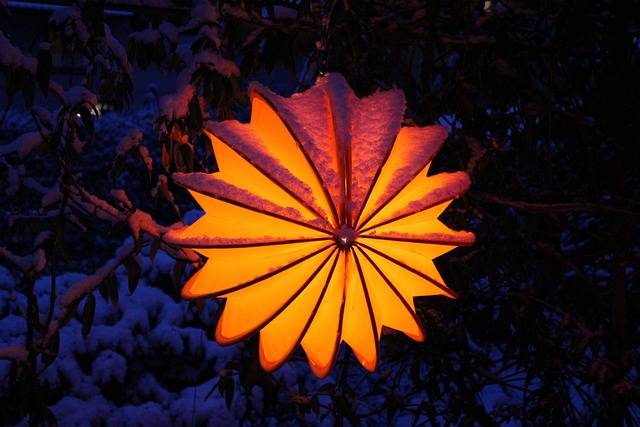 Nabana no Sato winter illumination tunnels